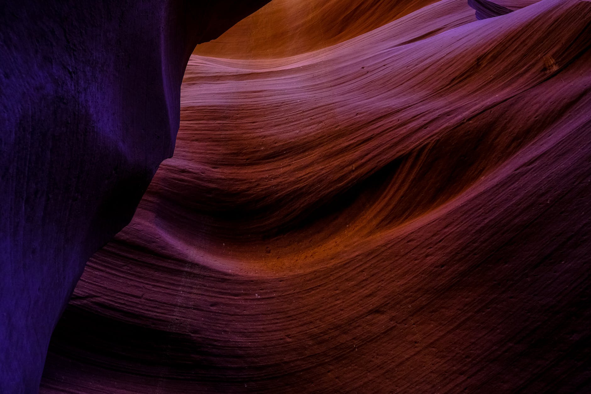 Afaceri cu servicii de recunoaștere facială pentru piața europeană în 2025