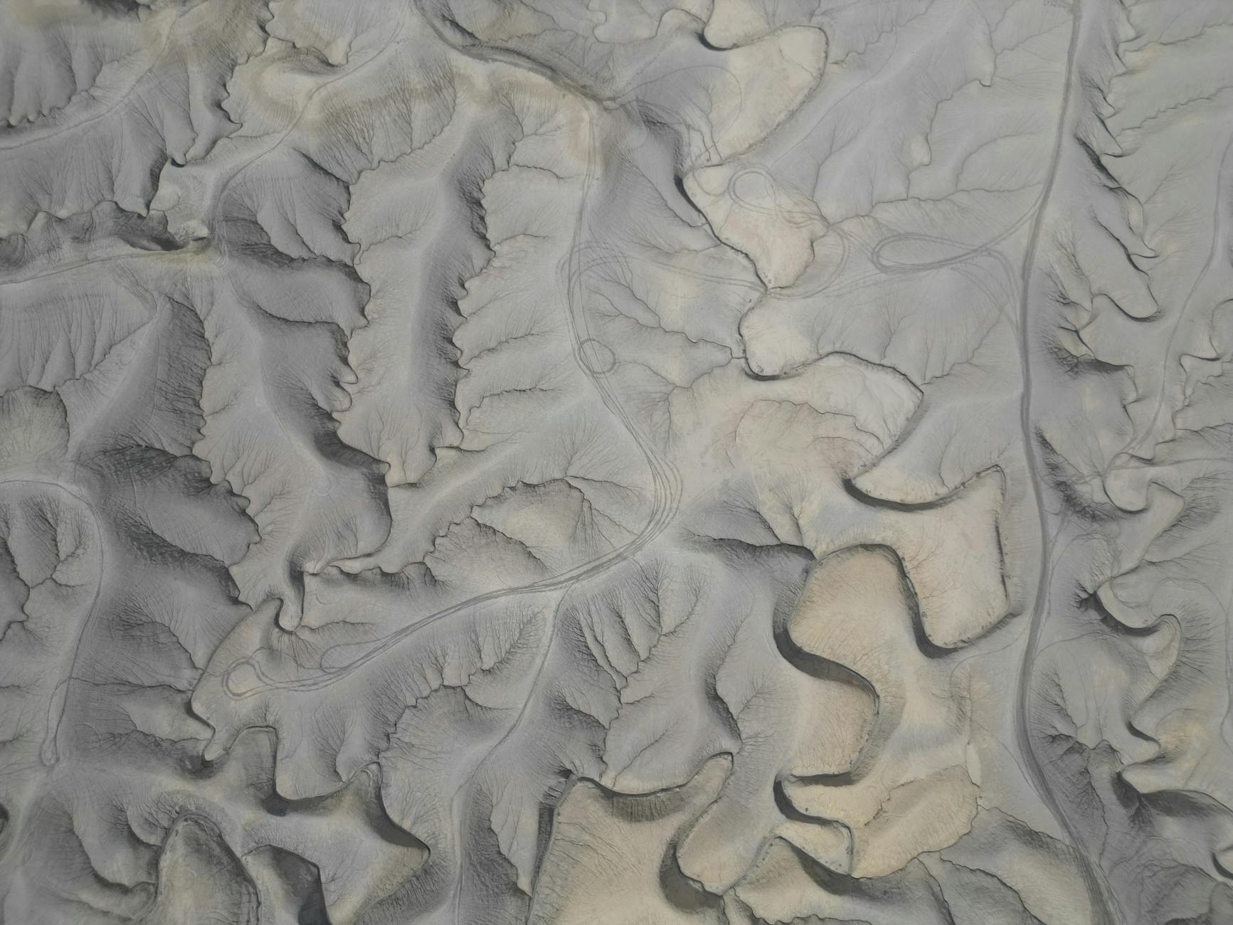 Cum să creezi cursuri de robotică pentru copii în 2025