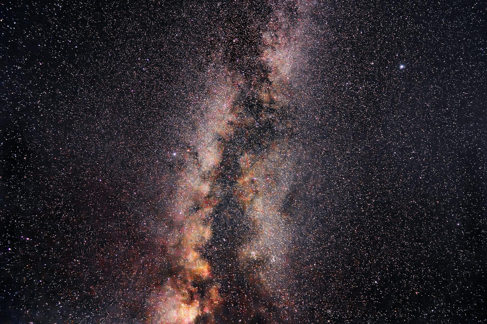 Afaceri cu plante medicinale și aromatice în Europa în 2025