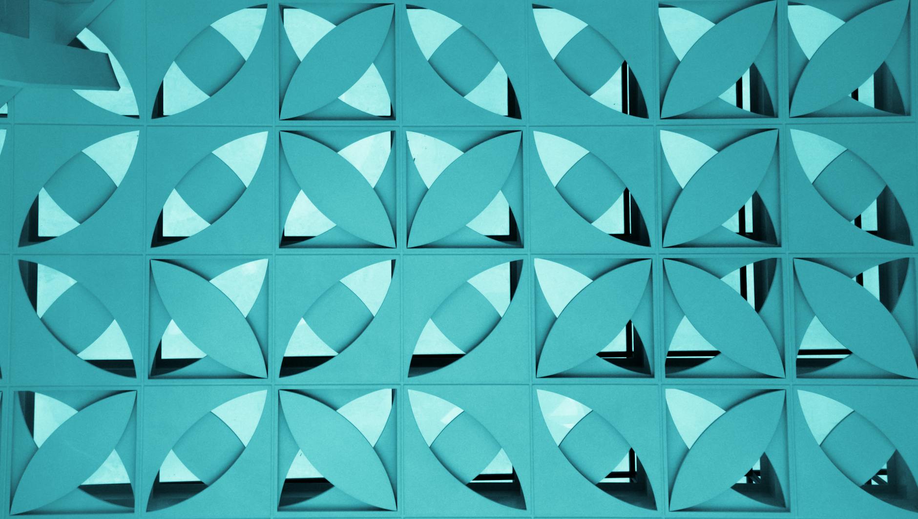 Cum să lansezi o școală de codare pentru adulți în 2025