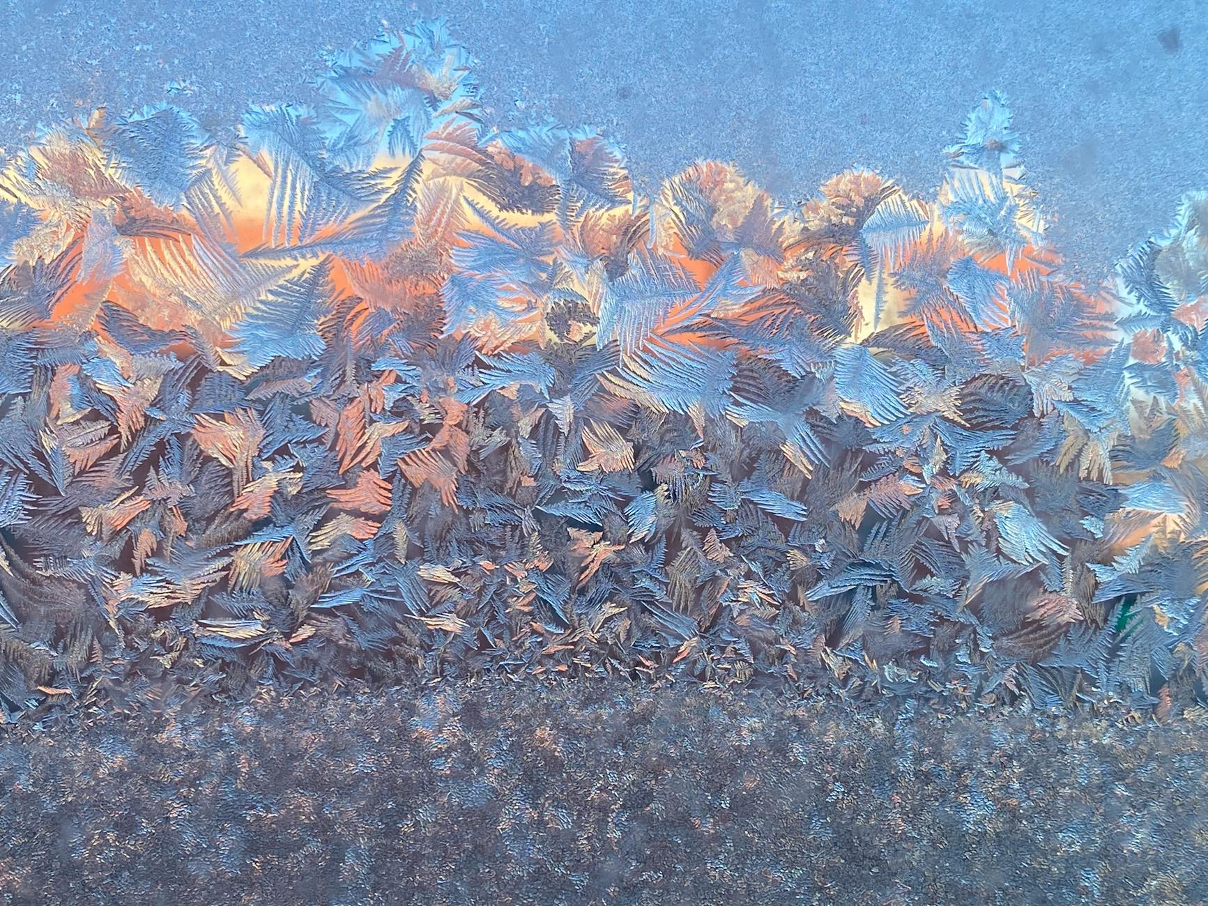 Cum să lansezi o platformă de învățare hibridă în Europa în 2025