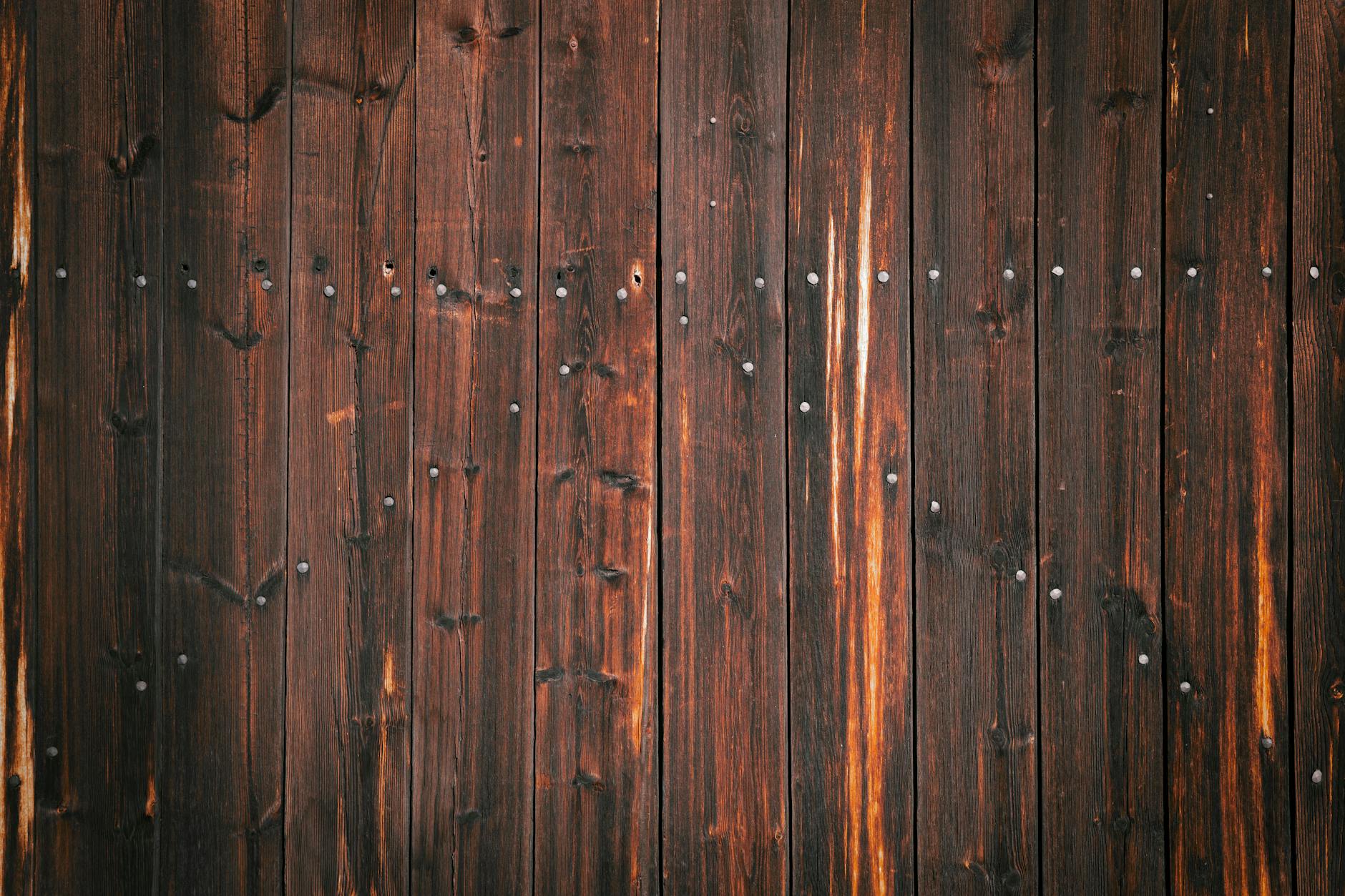 Afaceri cu software de traducere automată pentru piețele europene în 2025