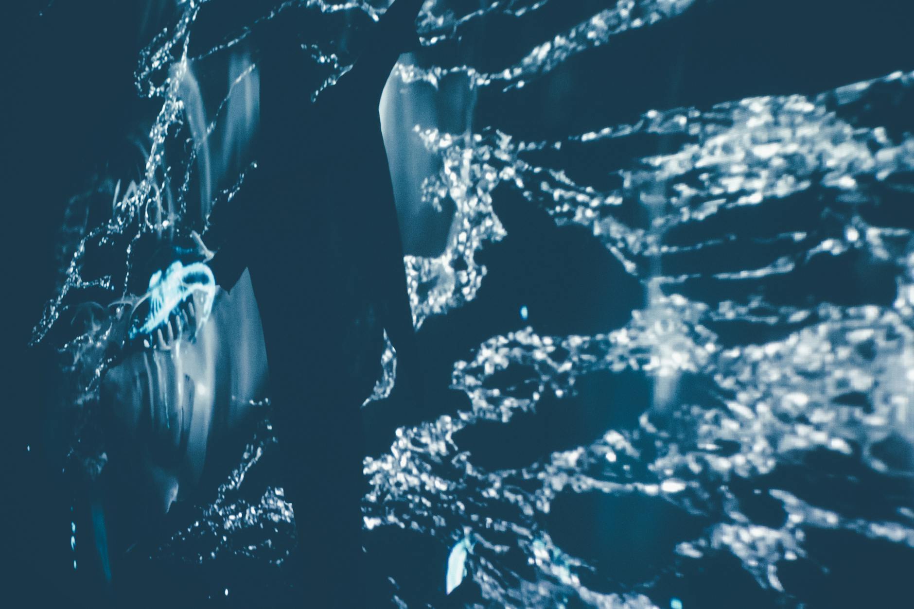 Afaceri cu festivaluri locale și culturale în Europa în 2025