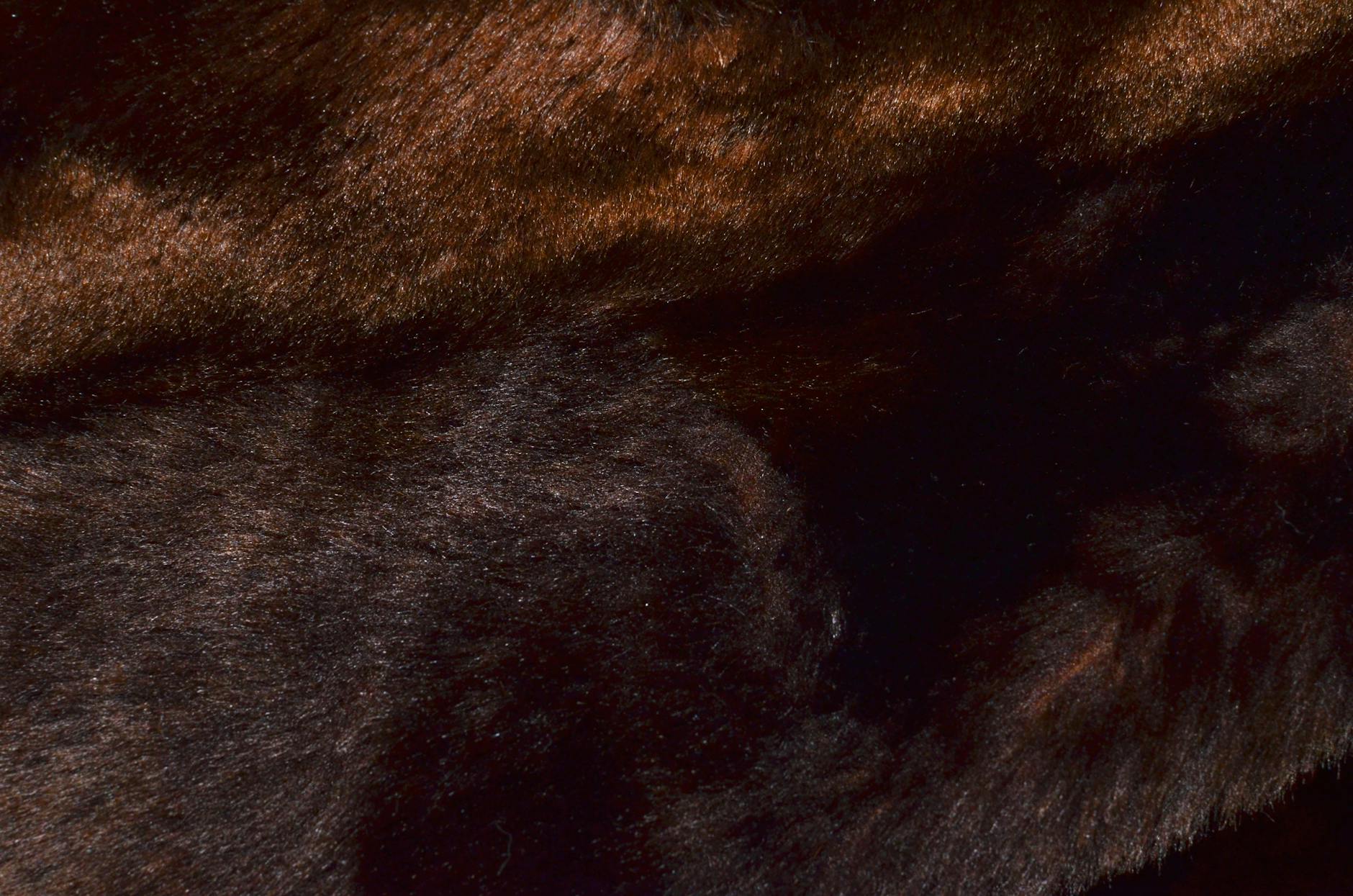 Cum să dezvolți o afacere cu panouri solare în 2025