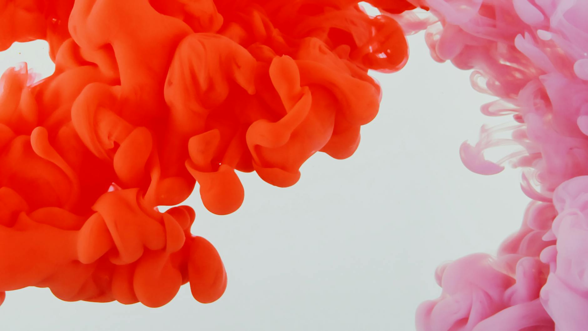 Afaceri cu cursuri pentru freelanceri și antreprenori în Europa în 2025