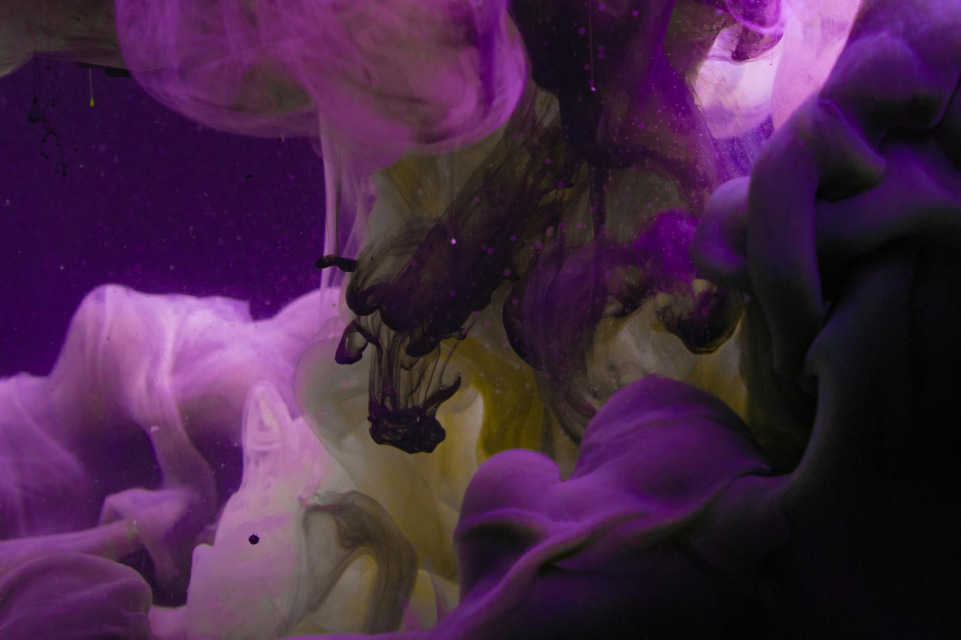 Afaceri cu evenimente turistice și festivaluri locale în Europa în 2025