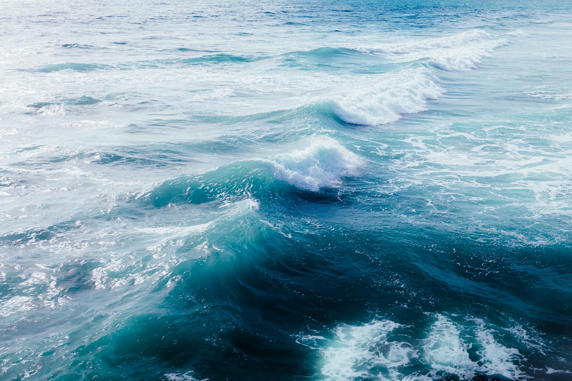 Cum să dezvolți un startup cu produse biodegradabile pentru industria alimentară în Europa în 2025