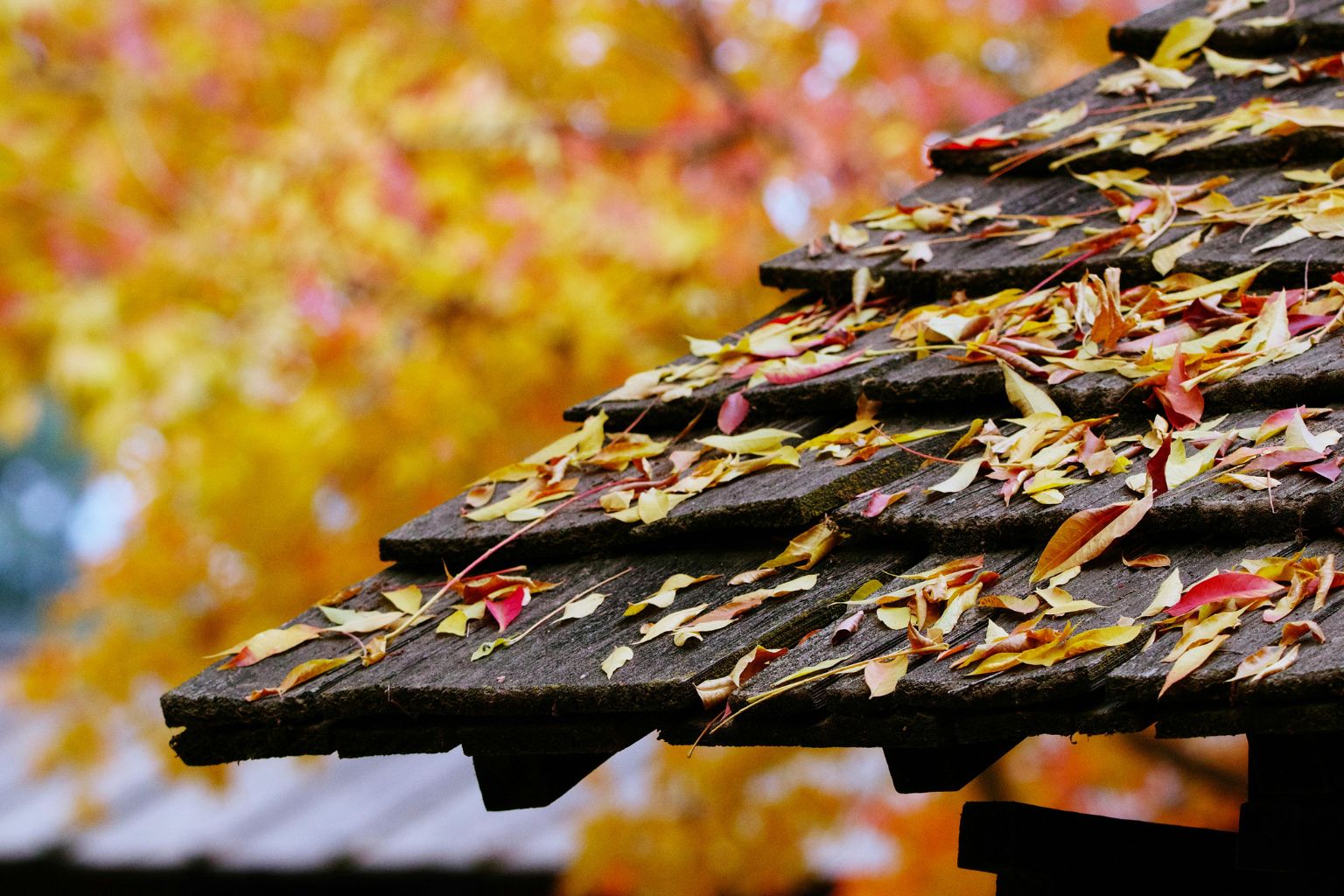 Durabilitate vs estetică – cum găsești echilibrul în alegerea acoperișului? Durabilitate vs estetică – cum găsești echilibrul în alegerea acoperișului?